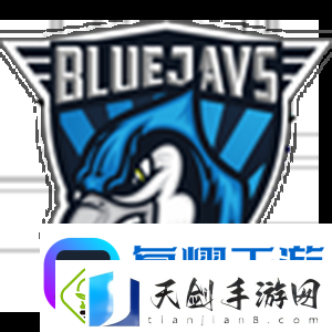 V社世界排名0304