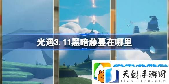 光遇3.11黑暗藤蔓在哪里