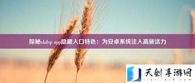 xkdsp.apk3.0 隐藏入口：神秘、独特、值得探索