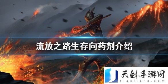 流放之路生存向药剂有哪些 流放之路存向药剂详细介绍