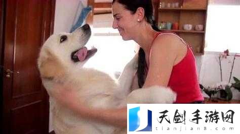 狗狗配人怎么配：探索动物与人类之间的特殊关联