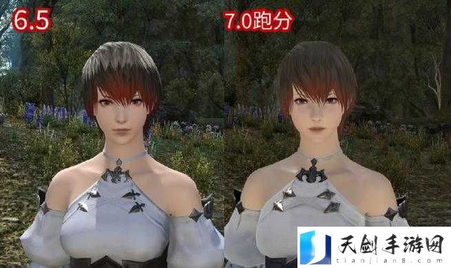 最终幻想14FF14跑分软件不能导入捏人-捏脸数据导入教程