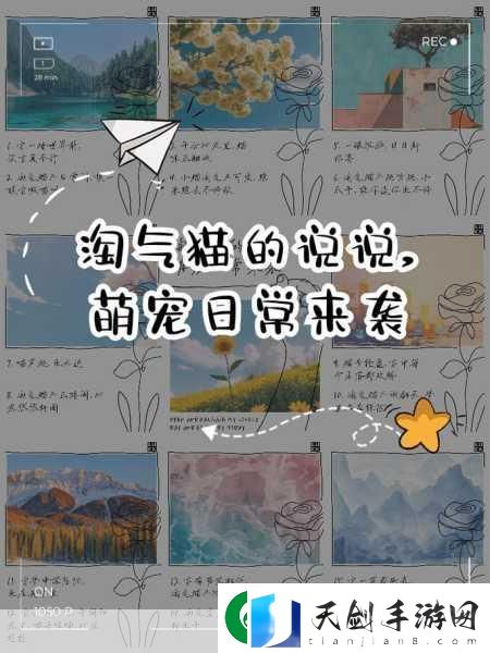 猫了个喵