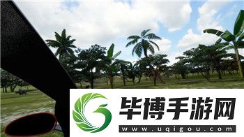 风云岛行动道具介绍大全——探索游戏内每个道具的独特用途与策略