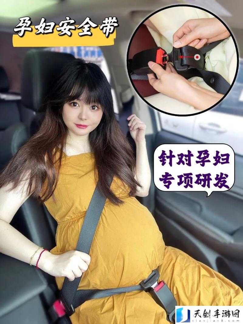 WHEELTPE 孕妇轮内容不打码：安全舒适的孕期助力工具