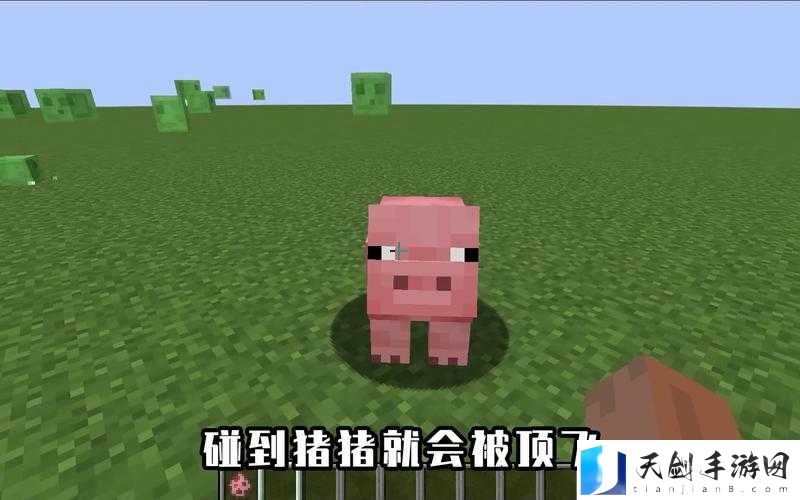 我的世界游戏中实现猪飞翔的创意方法，探索与利用游戏机制