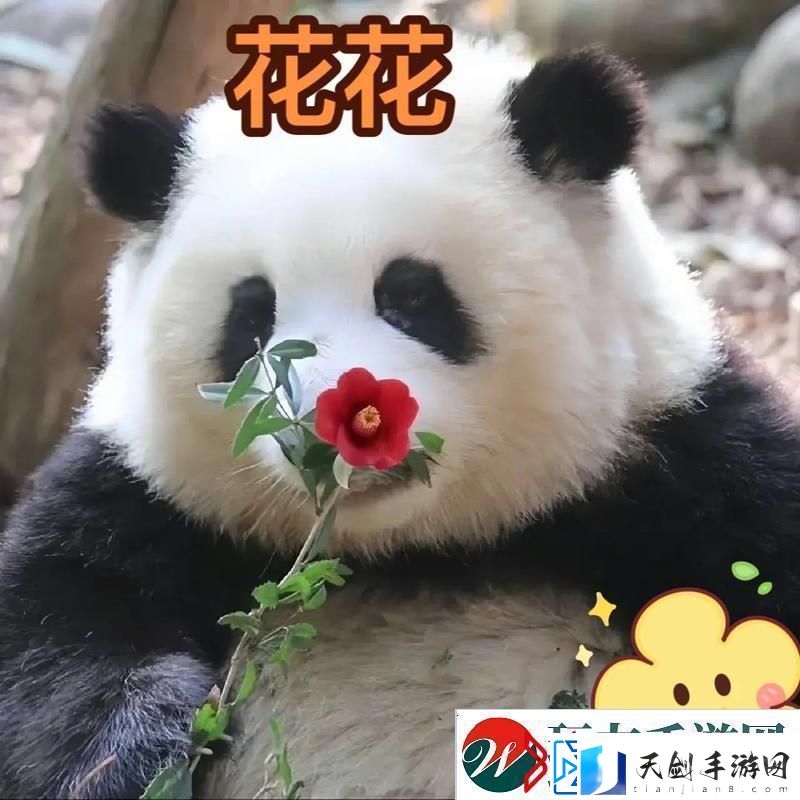 滚滚红尘