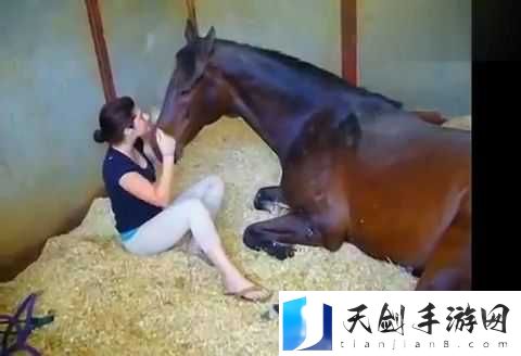 人与兽之间的奇妙纠葛与探索
