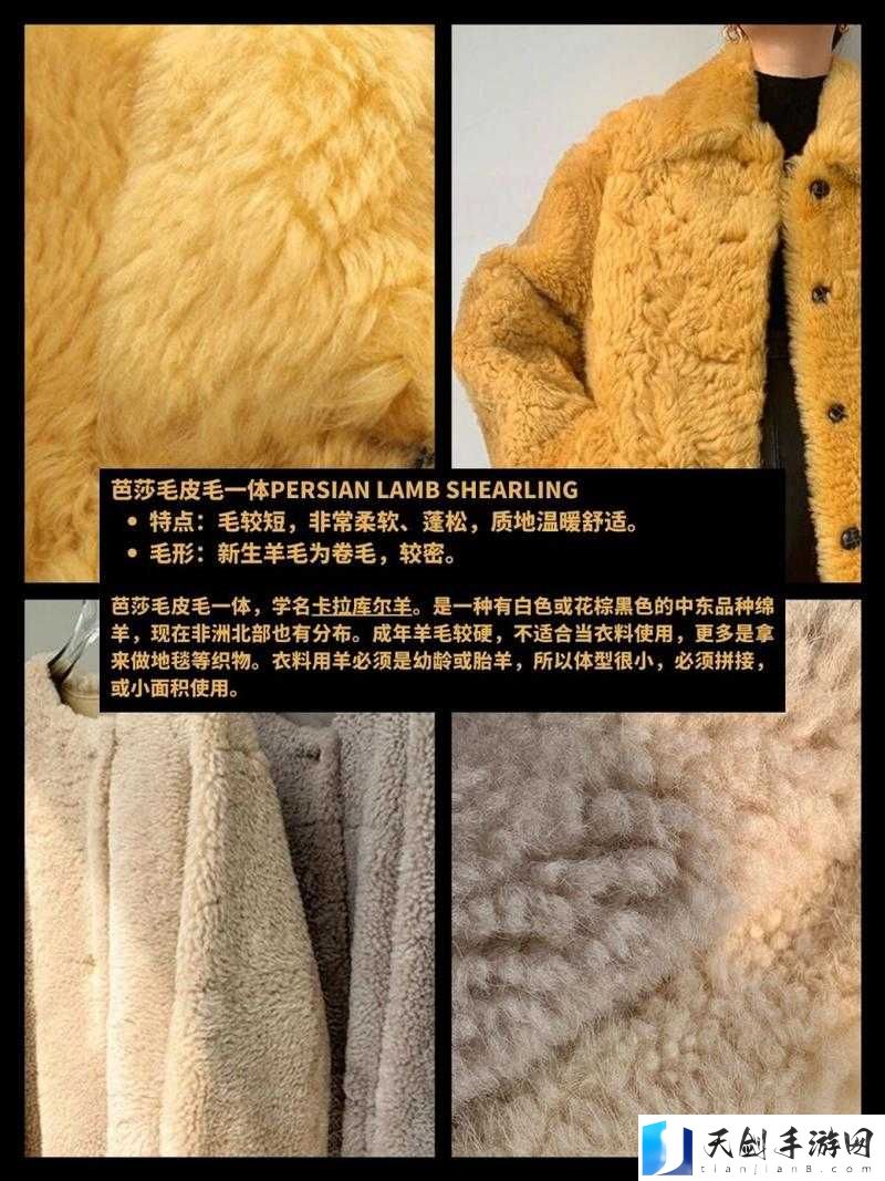 AAAA 级毛皮最火的网上疯传评价：堪称一绝的 AAAA 级毛皮火爆全网