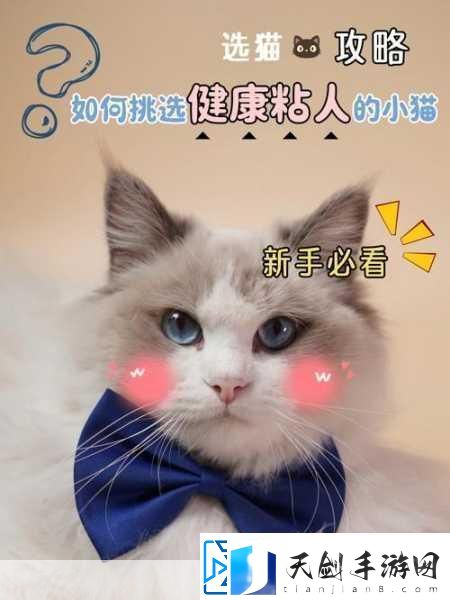 柚子猫yuzukitty的情人节礼物