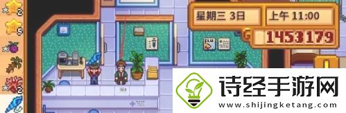 星露谷物语怎么结婚