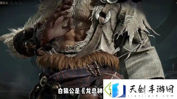 龙息神寂白猿公无畏队阵容怎么搭配-龙息神寂白猿公无畏队阵容搭配攻略