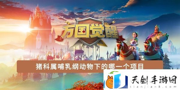 猪科属哺乳纲动物下的哪一个项目-万国觉醒国士无双答案