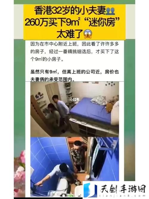 探索“一个上添b一个下添”的深层含义