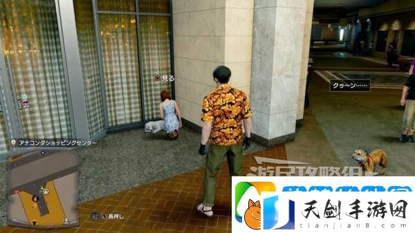 如龙8外传救护动物位置总汇