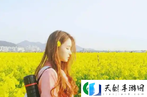 美国人与动物胶配方有几种：使用体验与安全隐患的双重考量