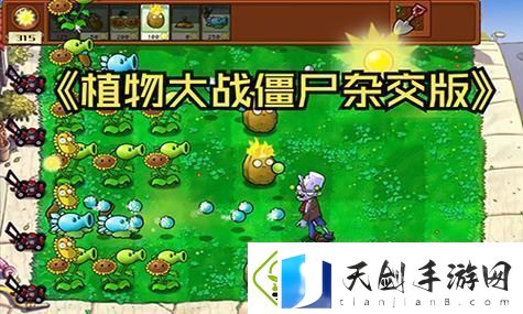 原神5.0纳塔断片收集路线大全