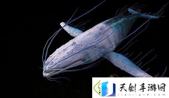 妄想山海万年鲲怎么进化