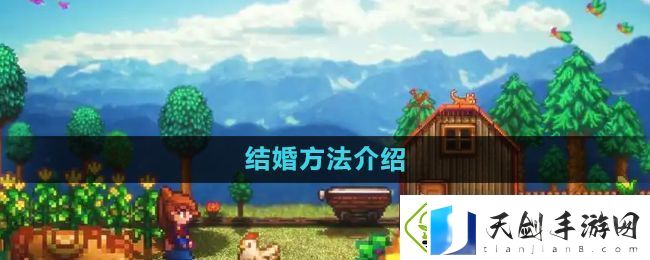 星露谷物语怎么结婚