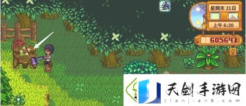 星露谷物语自动抚摸机怎么获得
