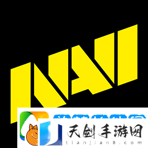 分析师dave点评NAVI现状