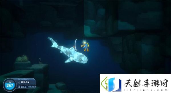 潜水员戴夫在夜间潜水的技巧与经验分享