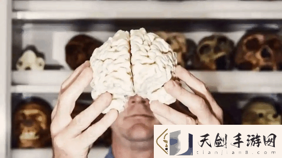 最新研究显示