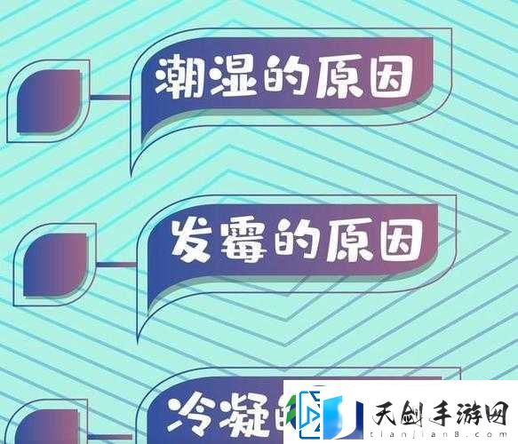 喷潮湿怎么办到的：成为潮湿控制大师的秘诀