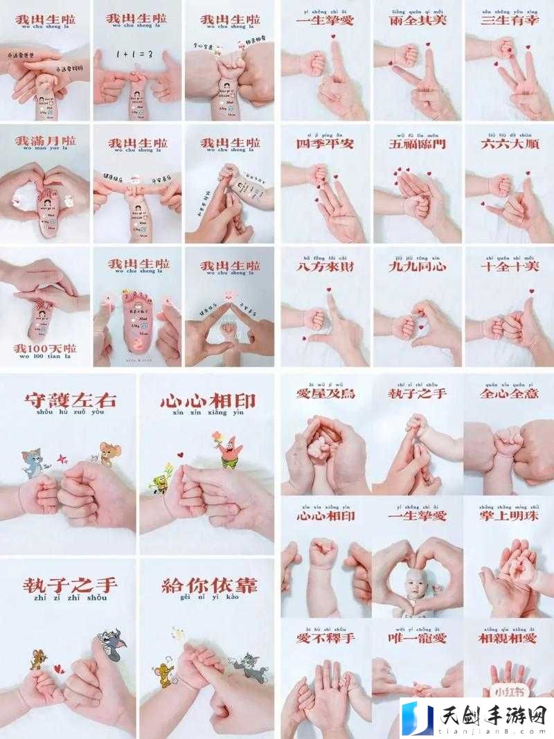 扣小花园的手势图步骤详细解析与实践指导