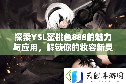 探索YSL蜜桃色888的魅力与应用