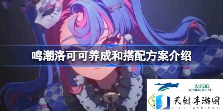 鸣潮洛可可该怎么进行养成和搭配