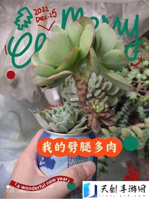 1V3 多肉多车高校生活玩视频：精彩对决大揭秘