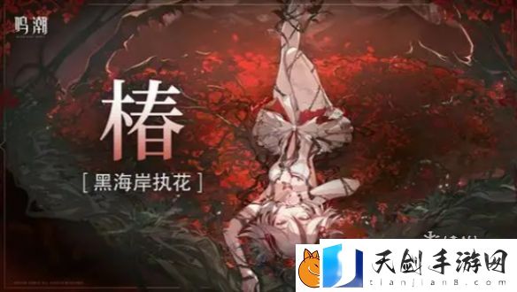 鸣潮洛可可值得培养吗