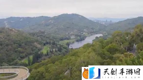 剪映vip可以几个人用