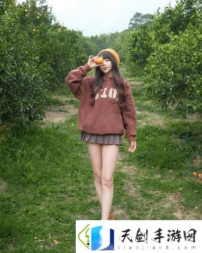 妻子6在线观看免费版电视剧