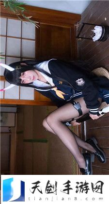 日本无人区1码2码区别：不同编码背后的奥秘