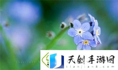了解一枪战三母4国语版免费观看：如何找到高清观看链接-体验精彩剧情与打斗