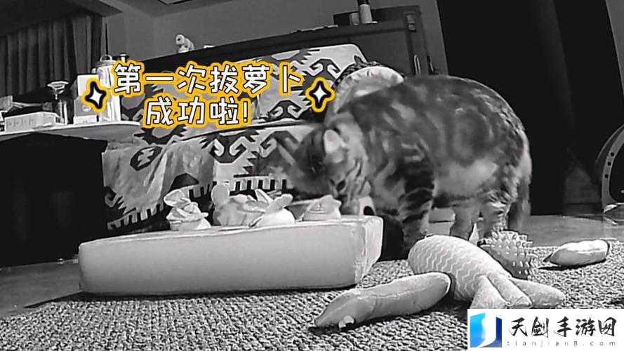 二人世界拔萝卜最新版本更新:探索神秘洞穴,发现奇妙宝藏