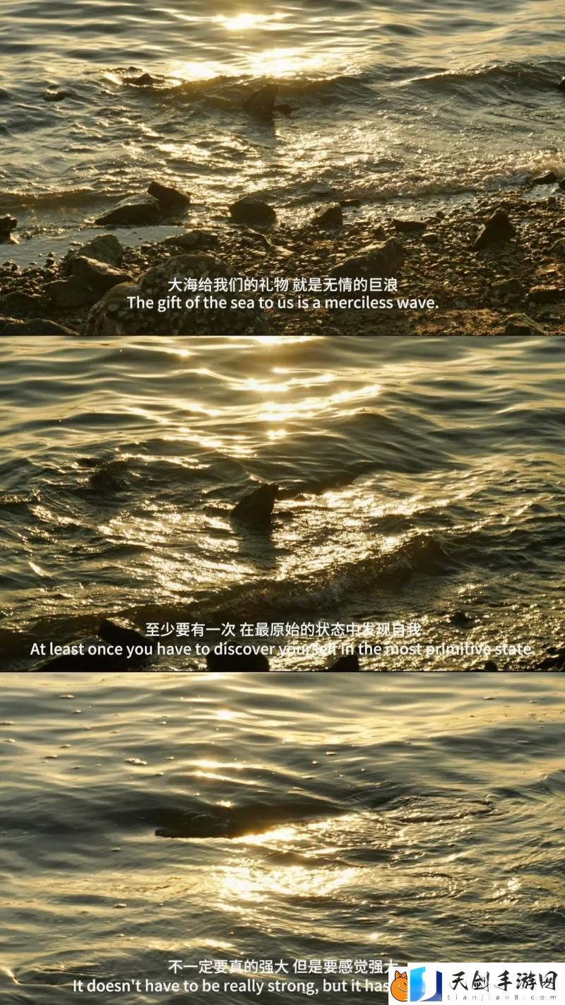 最好看的2018中文字幕：探索影视中的情感与文化
