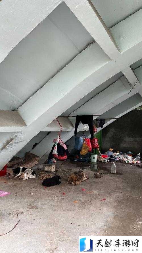 流浪汉把我拉进桥底免费阅读：这到底是怎么回事呢