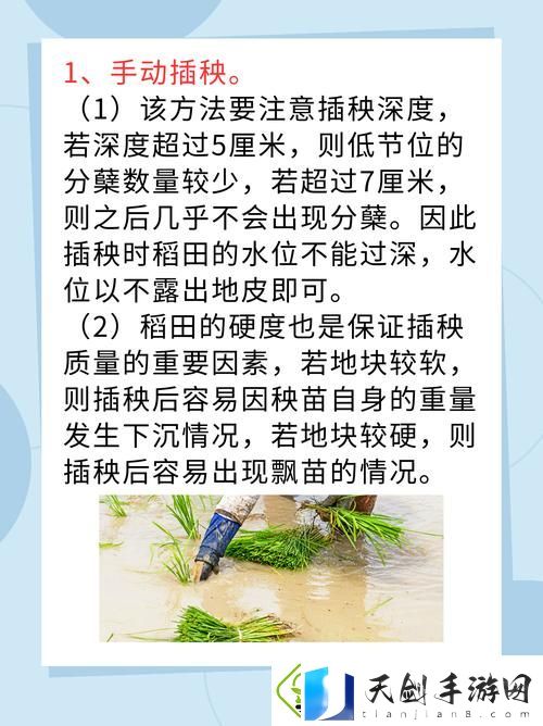 内容丰富夫妻插秧38种方法图片大全