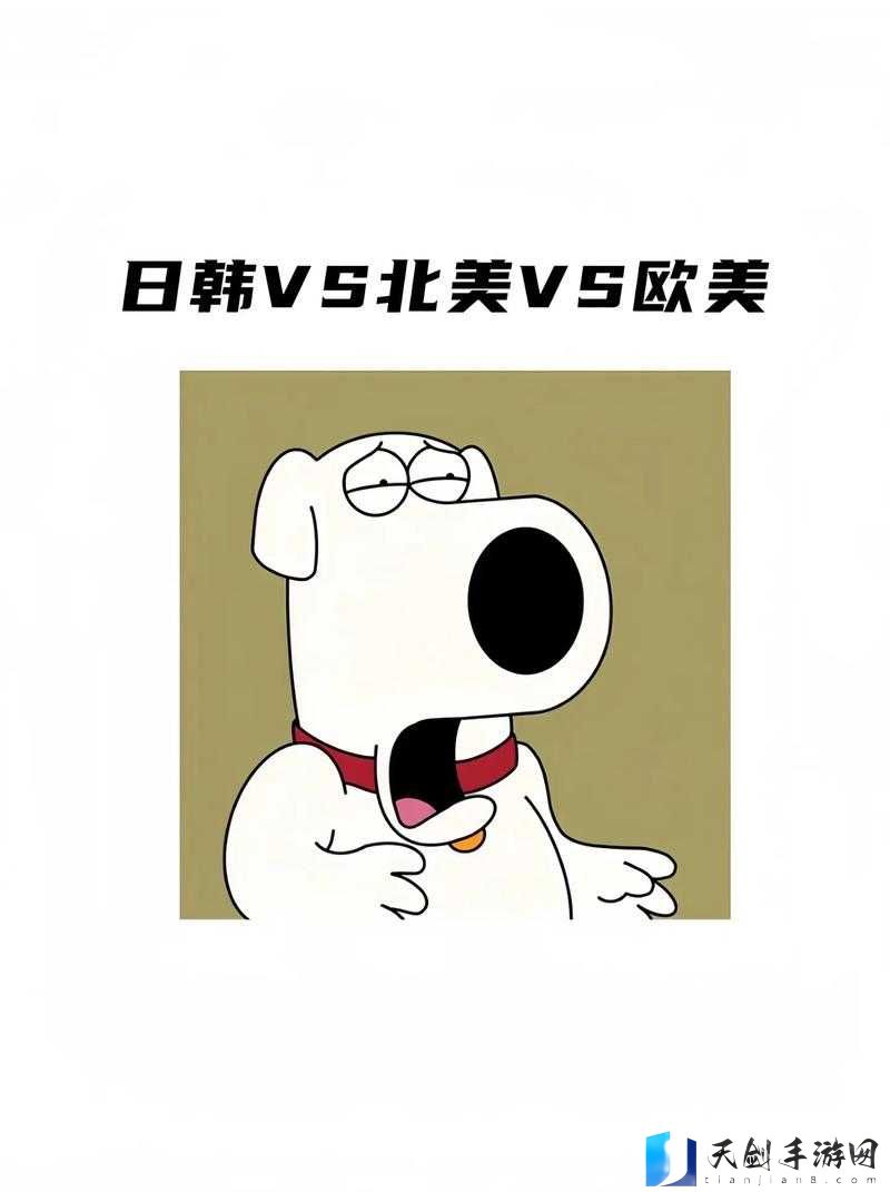 日韩产品和欧美产品的区别视频:深度剖析其差异与特色