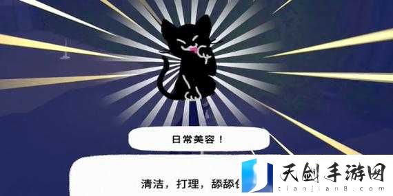 小猫咪大城市日常美容动作如何获得及相关技巧分享