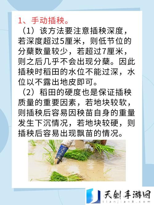 夫妻插秧的38种方法图解大全