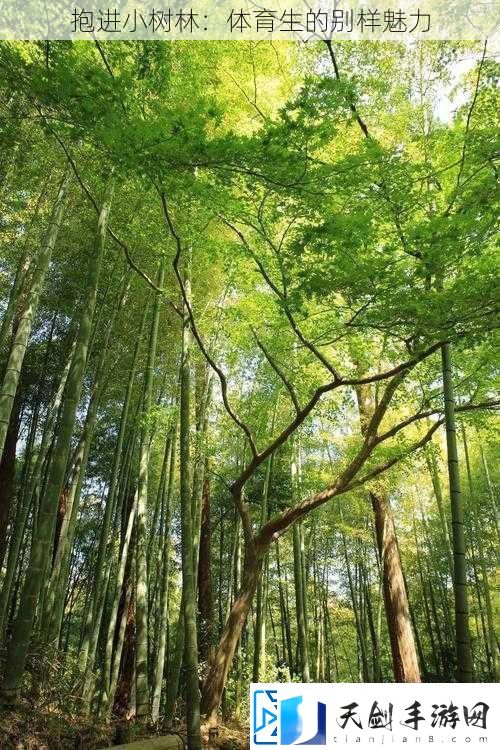 抱进小树林：体育生的别样魅力