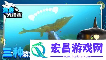 螺旋圆舞曲兰达尔信仰区别与角色背景的深度解析与对比分析