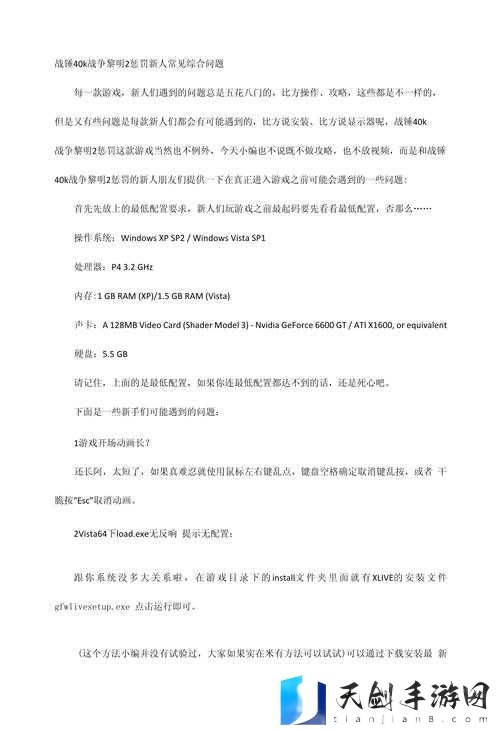 战锤40K战争黎明2惩罚新人常见综合问题