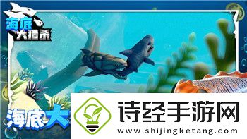 崩坏星穹铁道卡池时间详解