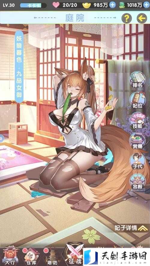 可查看女生内部的三国手游:独特视角领略别样三国风云