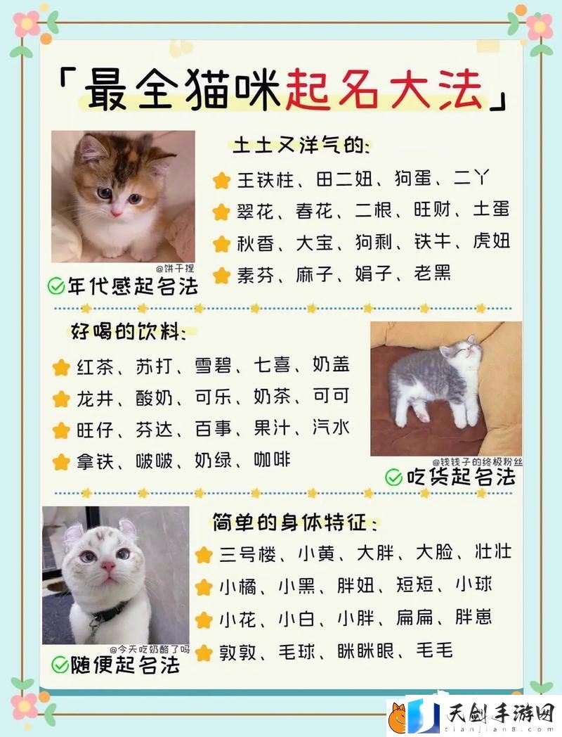 猫咪网名3336pt3